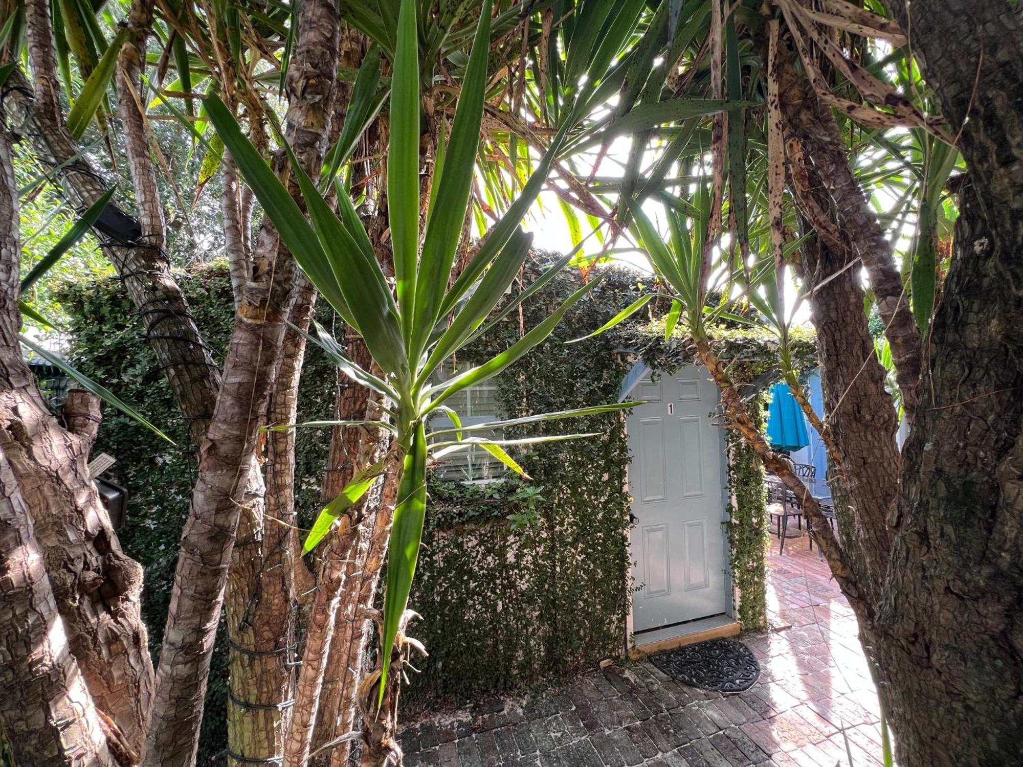 Studio Apartment Antonine New Orleans Ngoại thất bức ảnh